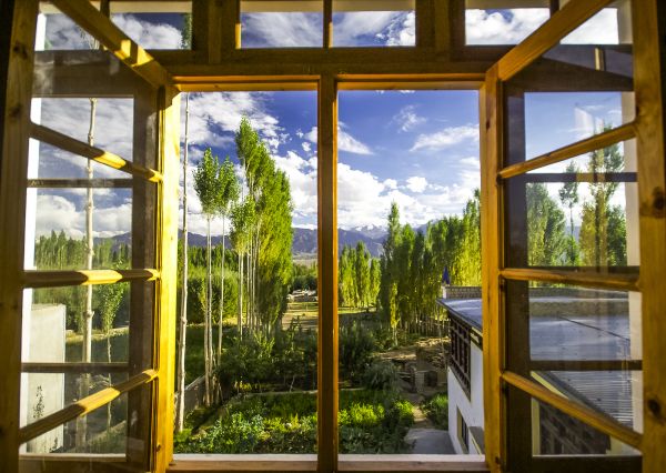 Wood Window Replacement in Blue Springs