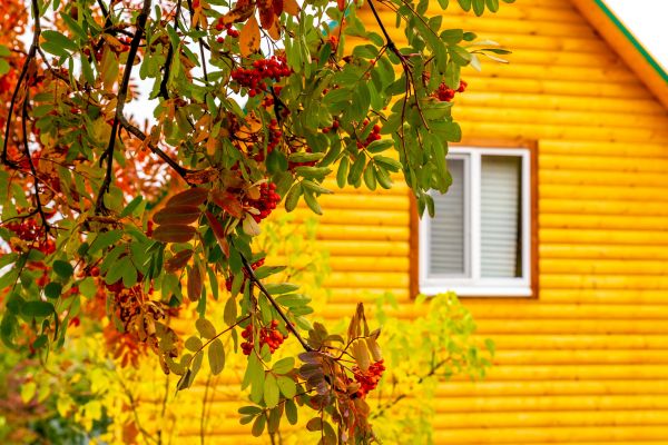 Cost of Garden Window Replacement in Blue Springs